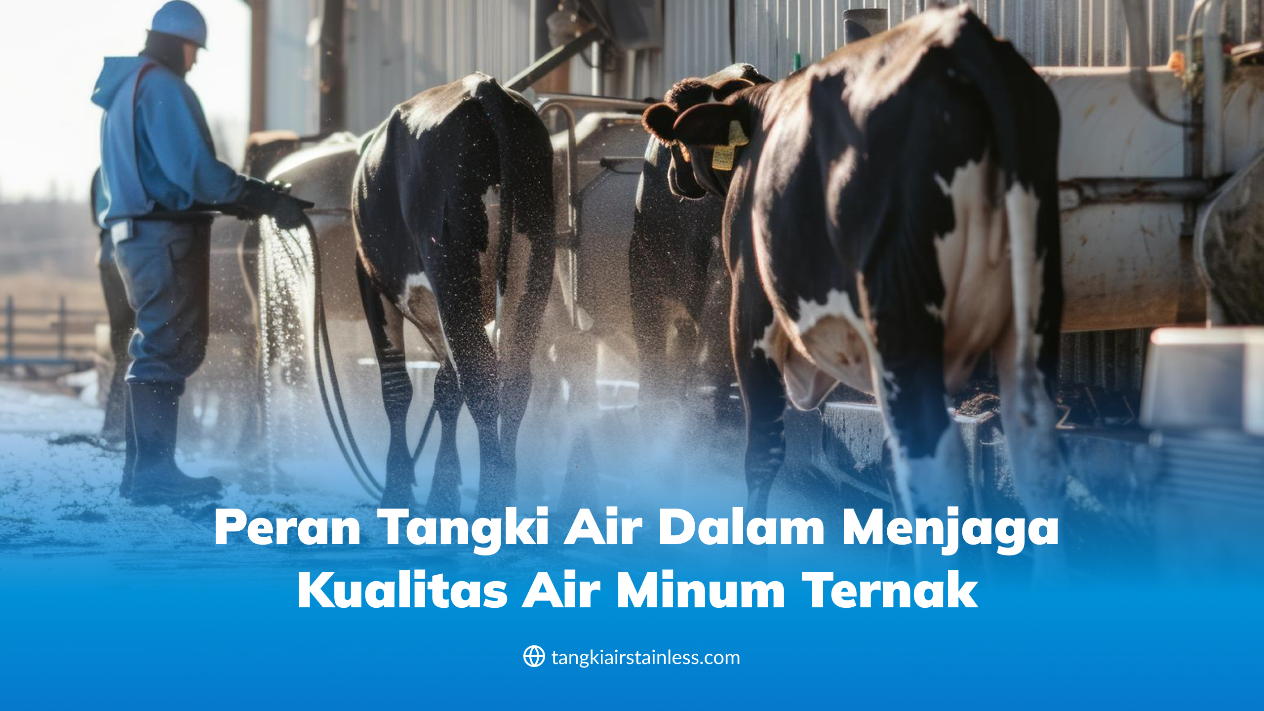 Peran Tangki Air dalam Menjaga Kualitas Air Minum Ternak