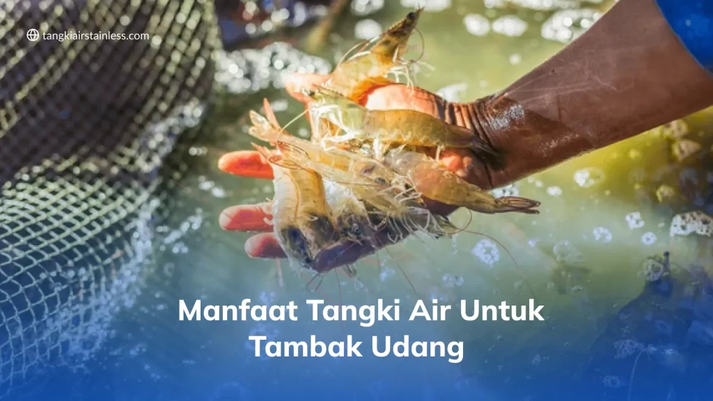 Manfaat Tangki Air untuk Tambak Udang