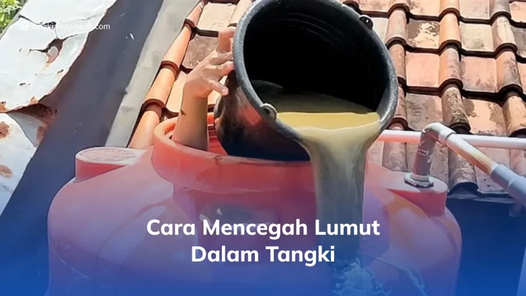 Cara Mencegah Lumut dalam Tangki