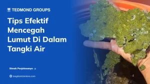 Mencegah Lumut Di Dalam Tangki
