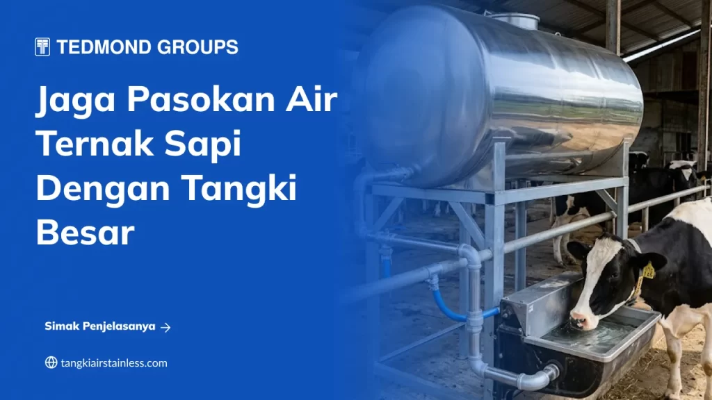 Jaga Pasokan Air Ternak Sapi dengan Tangki Besar