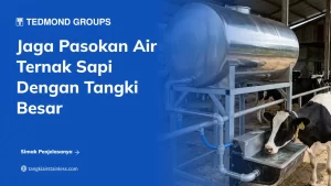 Jaga Pasokan Air Ternak Sapi dengan Tangki Besar