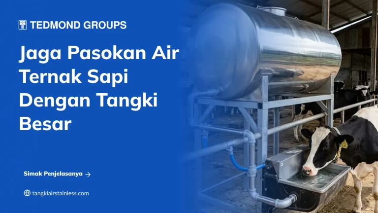 Jaga Pasokan Air Ternak Sapi dengan Tangki Besar